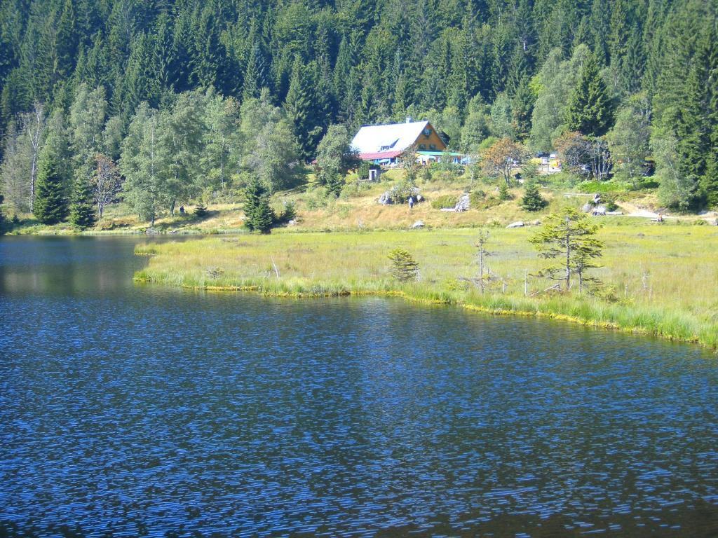 Pension Reindlhoeh Lohberg Extérieur photo
